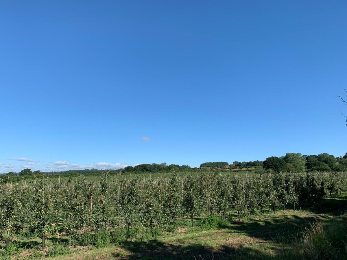 Blackberry Cottage Sutton Valence Bagian luar foto